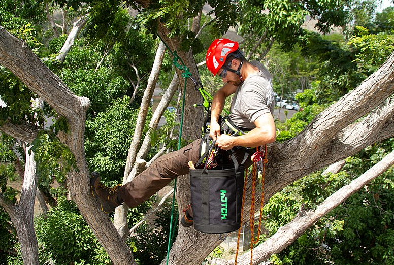 tree service