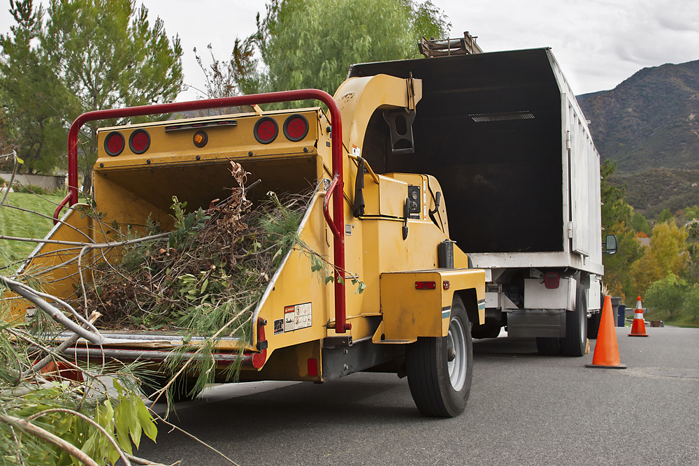 tree company